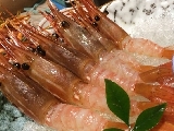 仁清・高級海鮮日本料理食べ放題